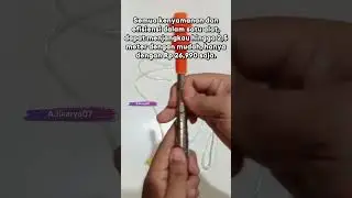 Stik Stick Sprayer Elektrik Panjang | Stik Stick Sprayer Teleskopik | Stik Semprotan Hama (2024)