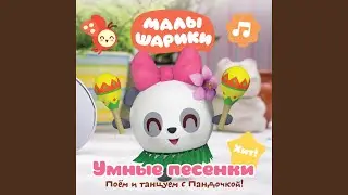Грибы