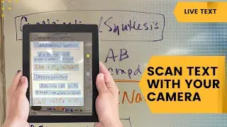 Live Text - How to Scan Text With Your Camera