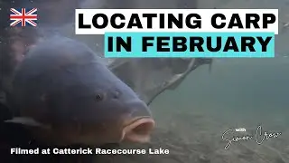 Locating CARP in February