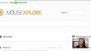 Open Source Live and Testnet Block Explorer for Bitcoin, Ethereum, Litecoin, Neo, Stellar