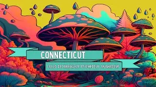 CT&rsquo;s Psilocybin Decriminalization Bill, NBA Embraces Cannabis, and MO&rsquo;s Cannabis Boom
