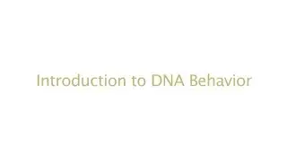 Introduction to DNA Behavior