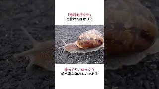Be careful not to move too slowly! A snail's day goes by in super slow motion