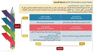 08 مصفوفة أنسوف  Anasoff واستخدامها لتنمية الأعمال