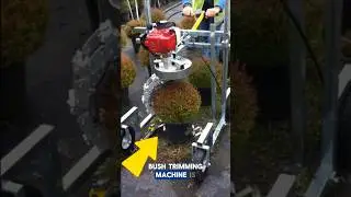 High-Speed Tree Trimmer 🌳⚡