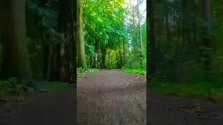 Bollywood street music classic bike ride gopro iPhone | #shorts