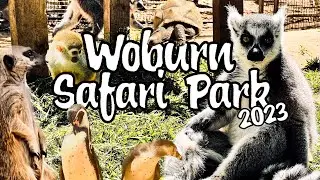 Driving around Woburn Safari Park 2023