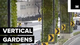 Mexico City's Highway Pillars Become Vertical Gardens