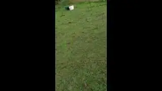 Meet my baby horse... Also I'm an idiot.