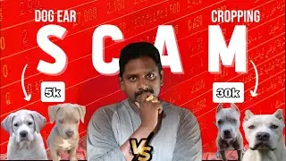 Be aware of scam in dog sales telugu | Ear Cropping Scam Expose | puppy for sale #pets #exposedtruth