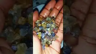 Beautiful Gem Lot in Hand 💎 | Rare Ceylon Sapphires and Precious Stones 🇱🇰✨