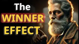 From Failure to Triumph: How the Winner Effect Will Change Your Life? | Stoicism Lessons