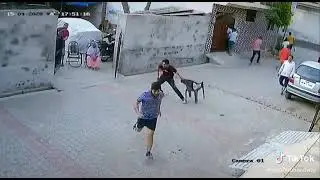 Lockdown series ended up by Police (Part2) | Complete Video #lockdown #gully #cricket