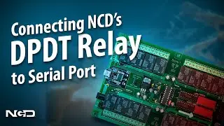 DPDT Relay