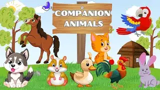 Companion Pet Animals | Pet Animals | Educational Videos for Kids