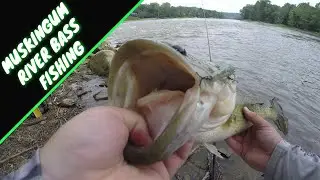 Dam Fishing on the Muskingum River- SURPRISE catch on a TINY Jerkbait! (Megabass x70sp)