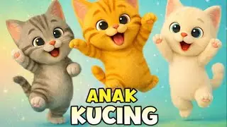 Anak Kucing Meong Meong 🐱 | Lagu Anak Ceria | Keluarga Kucing Lucu