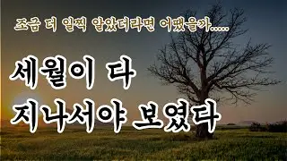 삶의 끝에서야 돌아보니 맞는 말이더라 -세월이 남긴 지혜 모음집-