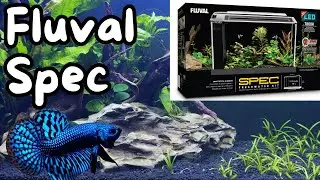 New Fluval Spec Review Unboxing Setup| Planted Betta Tank