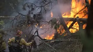 PIO Assignment to the Tiger Creek Fire