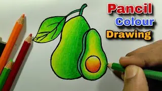 How to Draw a Realistic Avocado with Colored Pencils: Step-by-Step Guide 🎨✏️