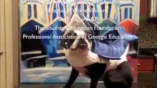 Learn about Amendment 1, Georgia!