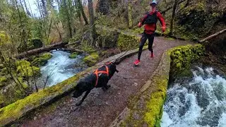 PEACEFUL RUN  with my DOG | Multnomah Falls, OREGON | Columbia River Gorge