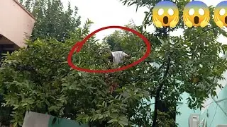Papa kit chadd gye Aaj 😱😳| Pankaj Vlogs | 
