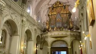 Novena San Pantaleone Vallo della Lucania 2016