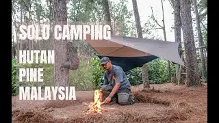 SENDIRIAN bermalam di Terap Pine Forest - Solo Camping Malaysia -