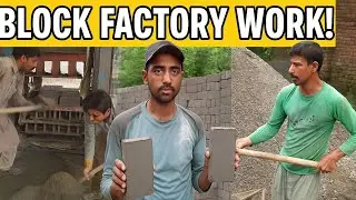 How Concrete Blocks Are Made | Real Block Factory Workers in Action 