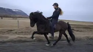 Sandur fr&aacute; Litlalandi