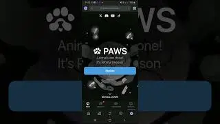PAWS Claiming Live | PAWS Withdrawal to Exchange Steps by Steps