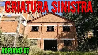 ENCONTREI UM ANIMAL SINISTRO, E DEPOIS FUI DESCOBRIR A ORIGEM DAS BATIDAS