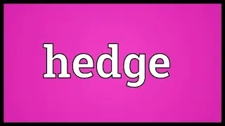 Hedge Meaning
