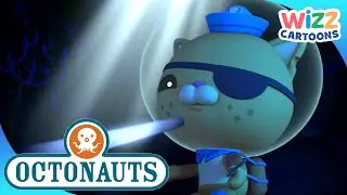 @Octonauts - Kwazii The Brave | Compilation | Wizz Cartoons