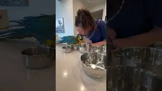 She was &ldquo;helping&rdquo; 😂 #macaw #birds #parrot #dinner #help #rescue #animals #pets #cute