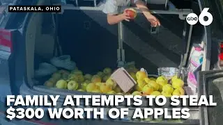'Bad apples' attempted theft pushes Pataskala fruit farm to boost security
