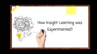Group Reports in Cognitive Psychology - Wolfgang Kohler: Insight Learning