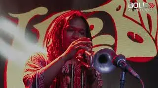 HELLO BENJI AND THE COBRA  [LIVE ON BOLDHOUSE FEST 2020 - VIRTUAL CONCERT]