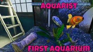 Aquarist PC Gameplay, Building My First Aquarium