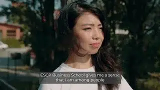The Art of Values-Based Leadership - Trailer