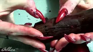 RED LONG NAILS DESTROY | BELHICA HAND LONG SHARP NAILS SCRATCH