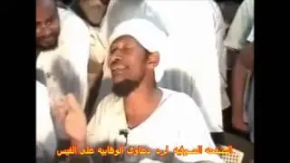 شيخ حامد احمد بابكر بالقران الأولياء يُطلعهم الله على الغيب