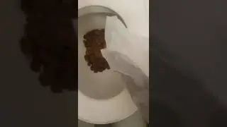 Will it flush? Lots of cereal