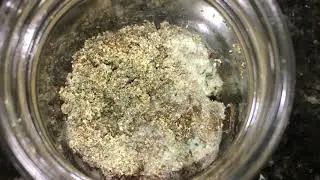 Atta Experiment 1