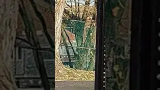 240th street yard