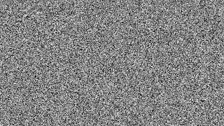 TV Static Noise 📺 6 Hours | No Signal White Noise for Sleep, Focus & Relaxation