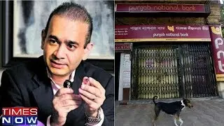 Four PNB Officials Arrested By CBI In Nirav Modi Fraud Case